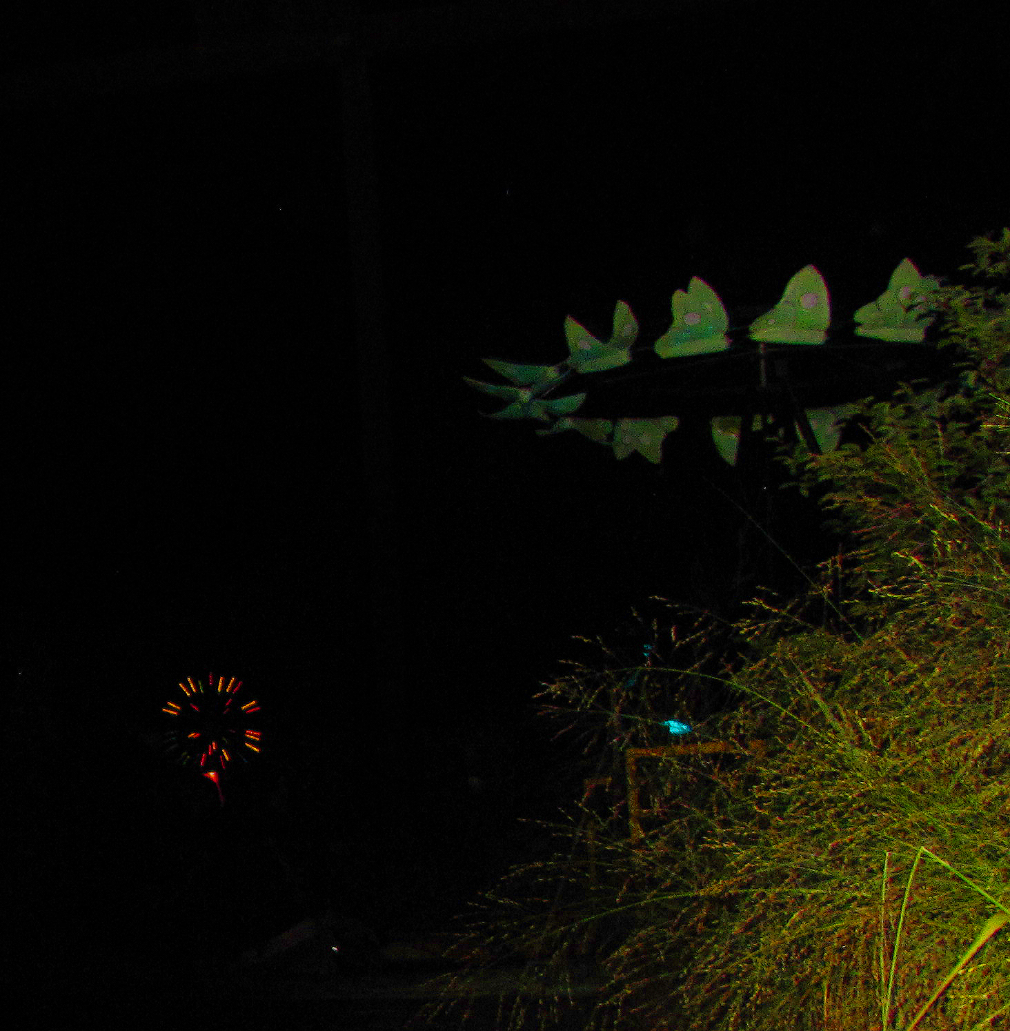 Moth in Motion installation